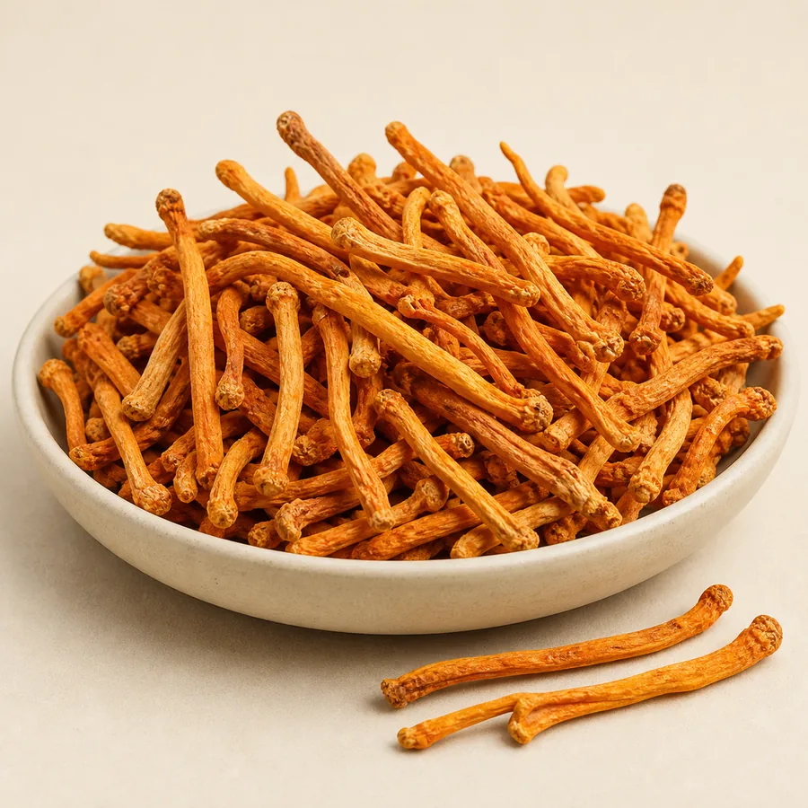 Cordyceps Mushroom