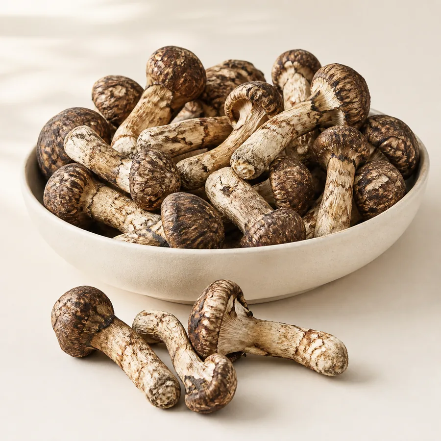 Matsutake Mushroom