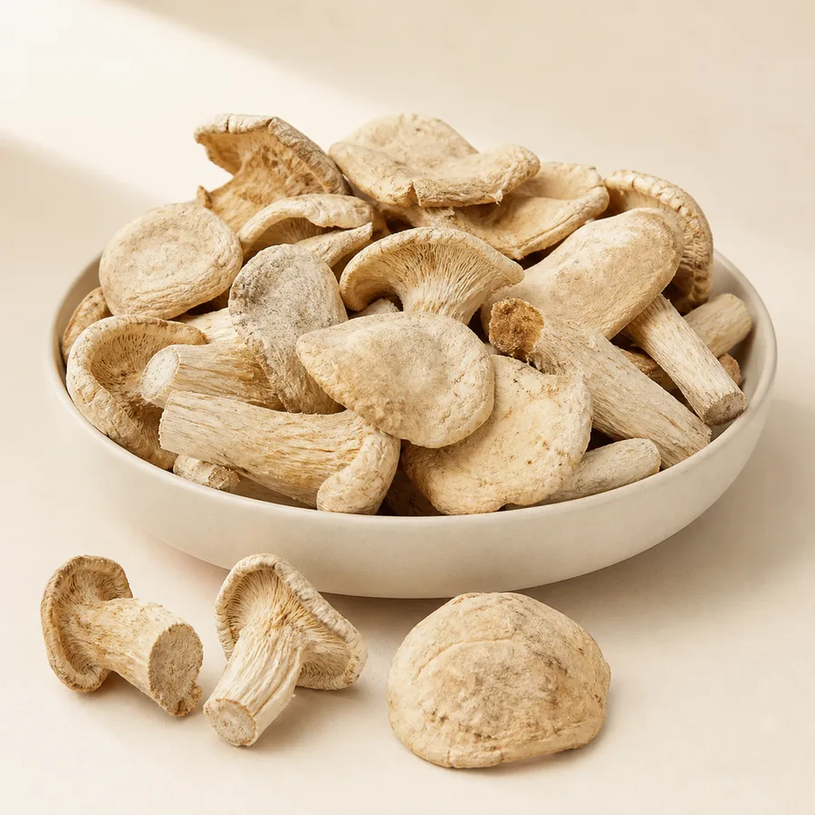 Milky Mushroom