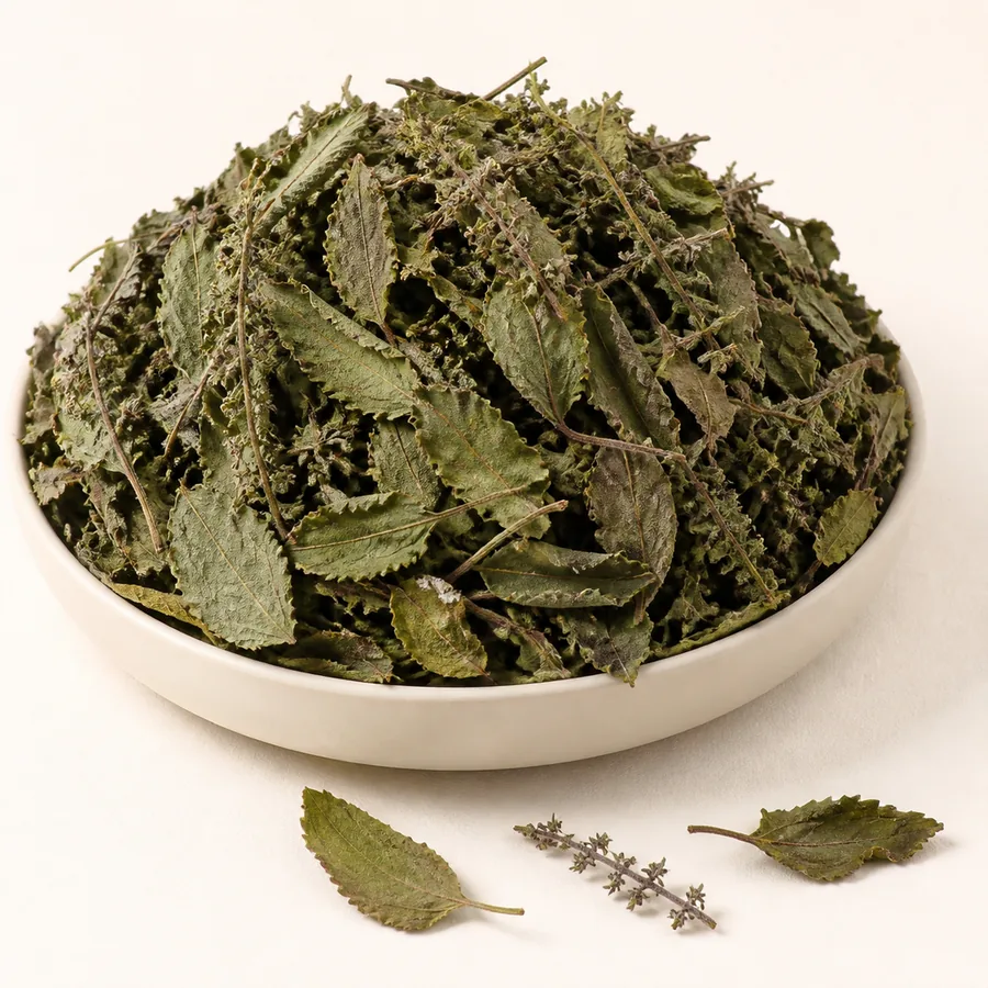 Tulsi (Holy Basil)