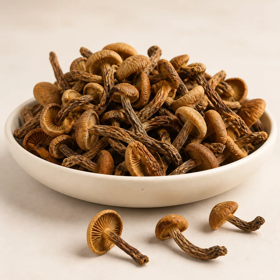 Velvet Shank Mushroom
