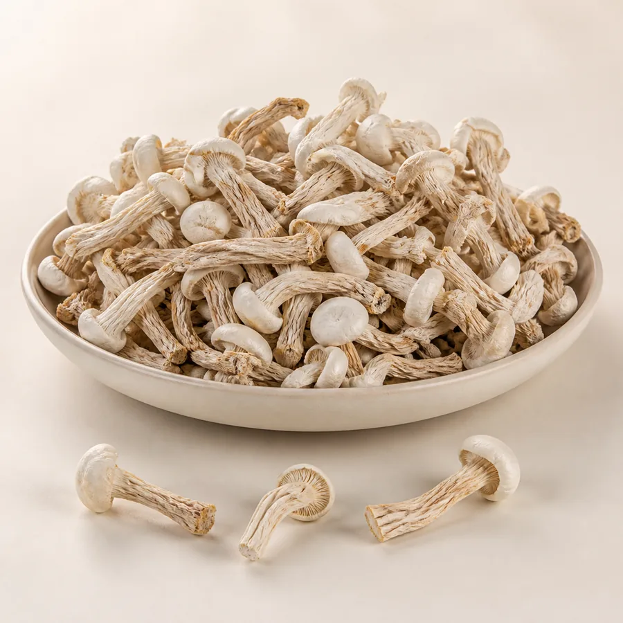 White Beech Mushroom